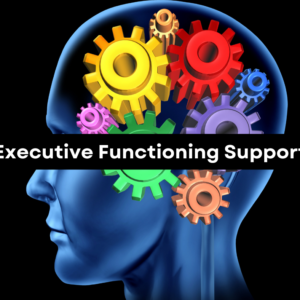 1-on-1 Executive Functioning Support